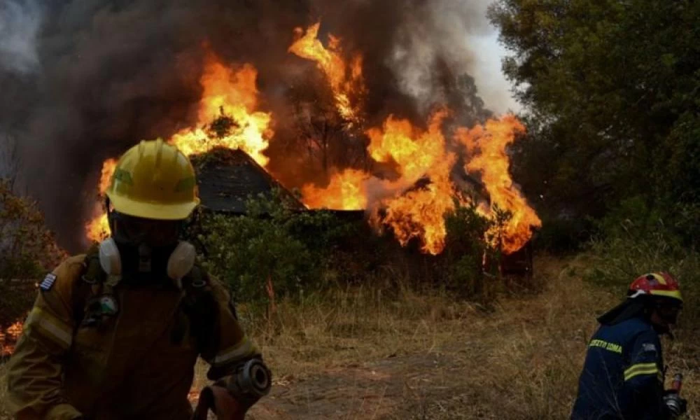 Αρκαδία: Νέα αναζωπύρωση σημειώθηκε κοντά στο Νεοχώρι